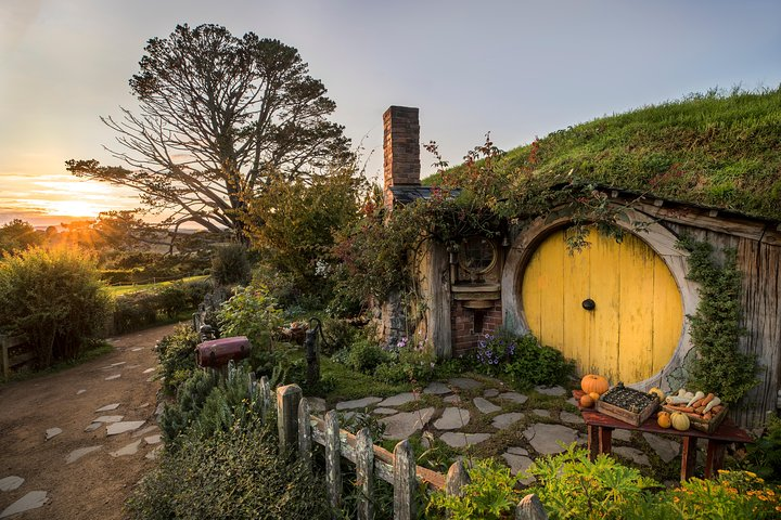 Waitomo & Hobbiton Guided Tour departing Auckland - Photo 1 of 7